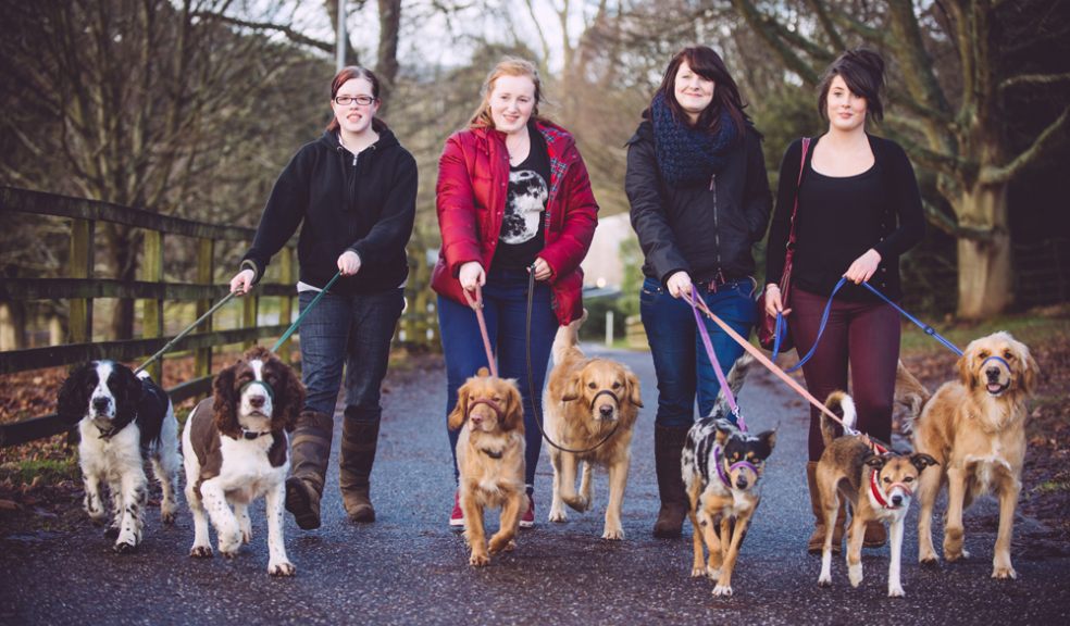 Dogs in Devon Preened to Perfection with New Grooming